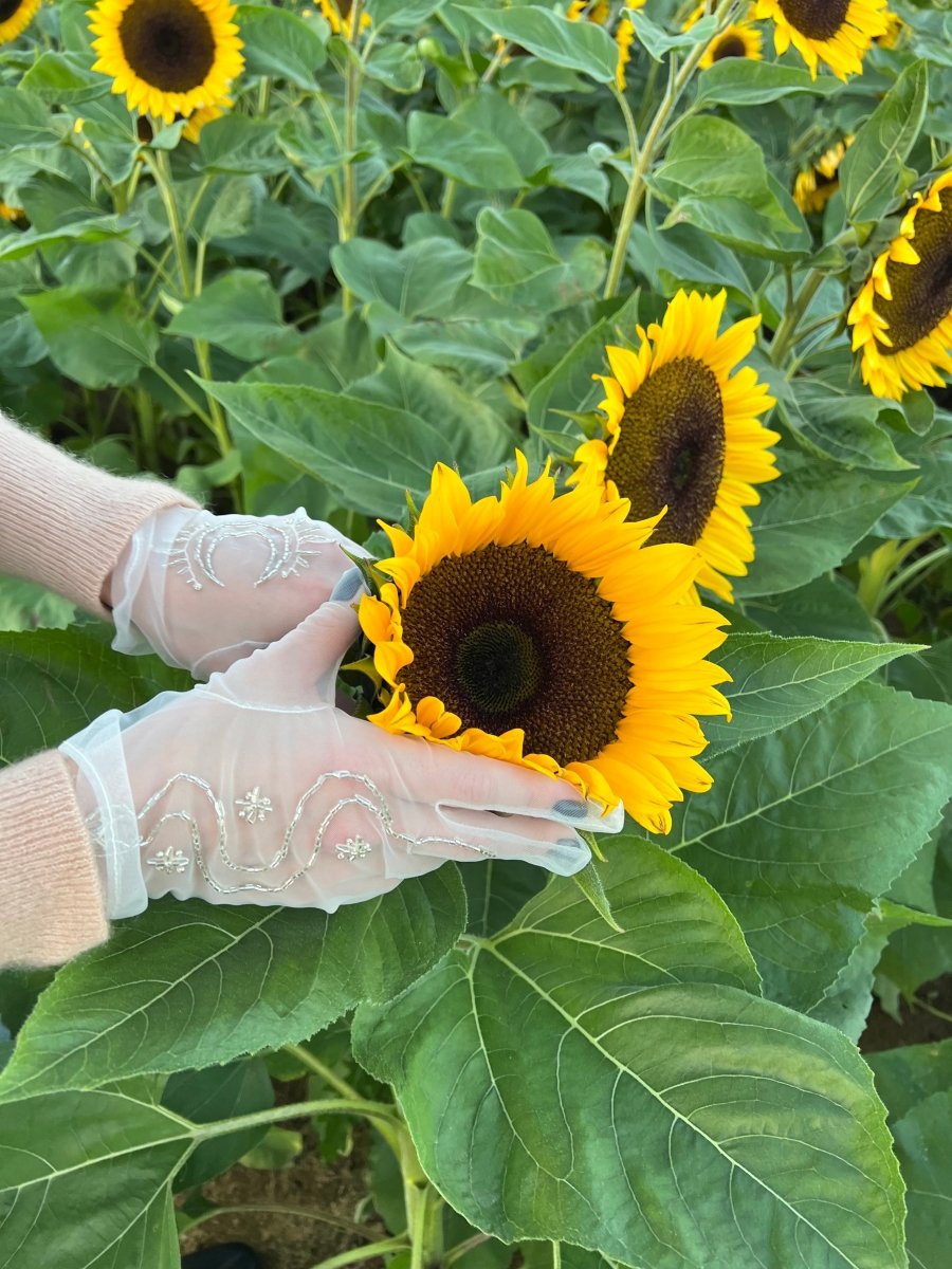 Short Gloves, "Moon & Snake" in White - Stashe
