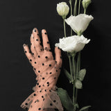 Short Gloves, "Polka Dot” in Beige - Stashe